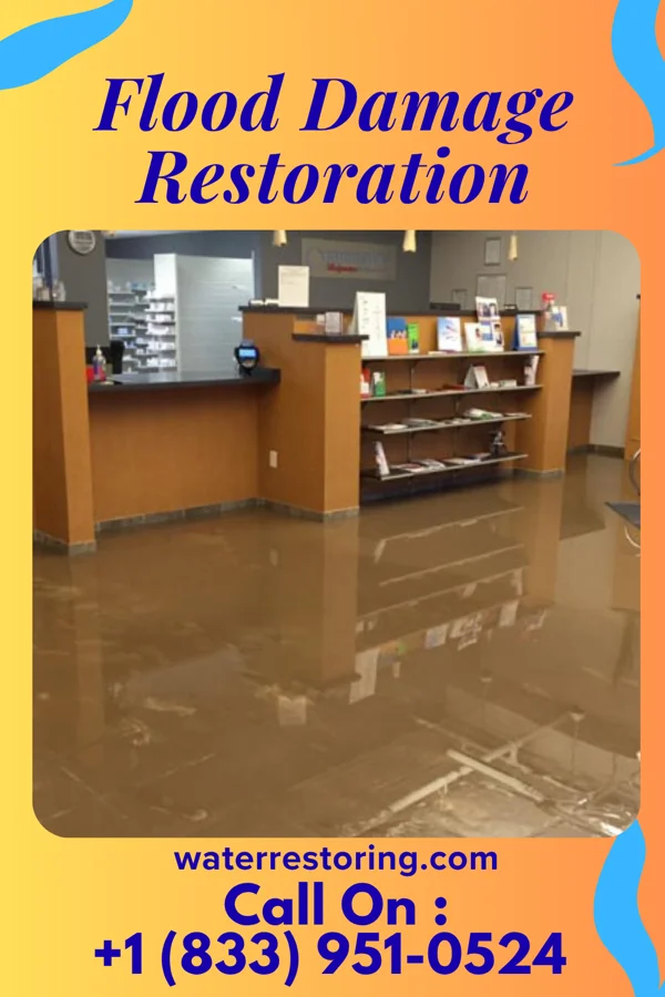Flood Damage Restoration in North Tunica, MS