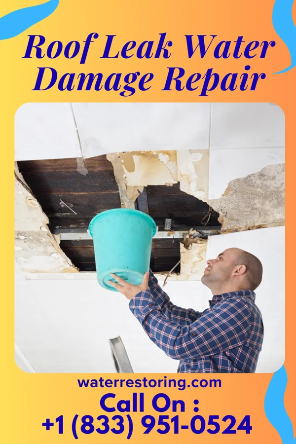 Roof Leak Water Damage Repair in North Tunica, MS