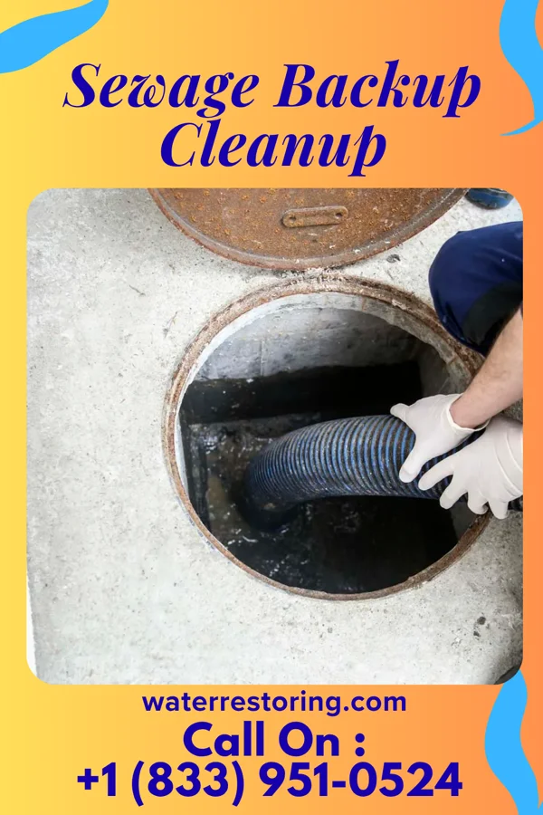 Sewage Backup Cleanup in North Tunica, MS