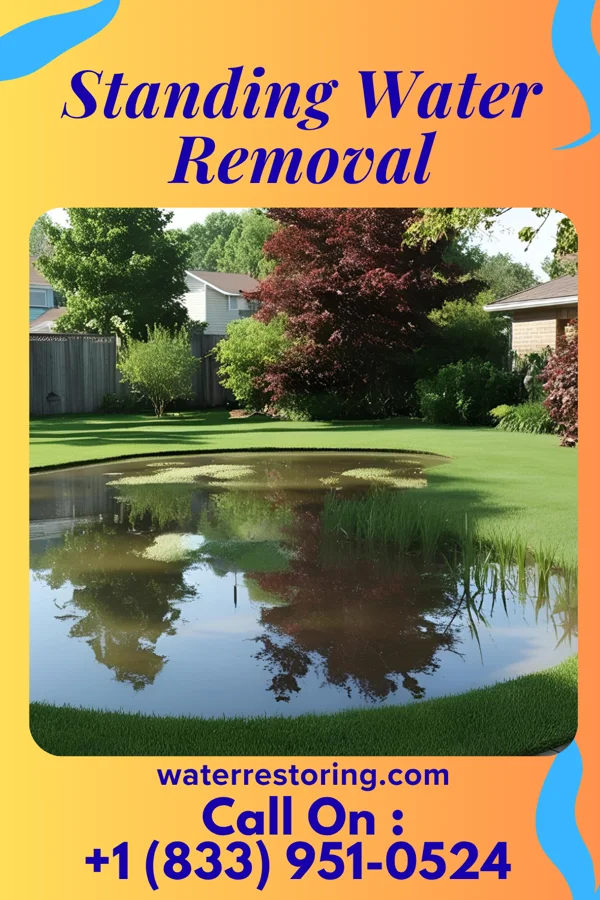 Standing Water Removal in North Tunica, MS
